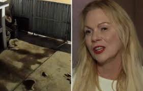 I found $20k in a movie theater bathroom