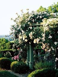 Traditional Garden By Charles J Stick Via Architectural Digest Designfile Rose Garden Design Traditional Garden Beautiful Gardens