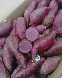 It was established since year 1995. Farm Price Sdn Bhd Home Facebook