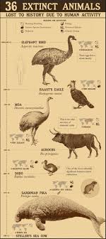 Extinct Animals On Animals Extinct In 2020 Extinct Animals Animals Animal Planet