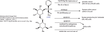 Aniline or phenylamine is a primary amine and basic in nature. Theoretical Analysis For The Safe Form And Dosage Of Amygdalin Product Bentham Science