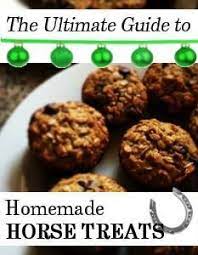 Ultimate Guide To Homemade Horse Treat Recipes Homemade Horse Treats Pet Treats Recipes Horse Food