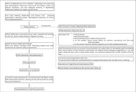 flow chart describing our failure mode and effect analysis