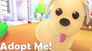 All transactions will be recorded to protect both seller and buyer from scamming. What Is The Most Rare Pet In Adopt Me How To Get Legendary Pet In Adopt Me What Is The Best Legendary Pet In Adopt Me