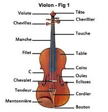 Parties D Un Violon Ecosia Violin Lessons Violin Music Instruments