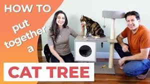 Introduction the information found on the tree identification page is from the government of british columbia publication called the tree book: How To Put Together A Cat Tree Youtube