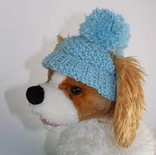 Free Dog Bobble Beanie Free Knitting Pattern By Madmonkeyknits Knitting Patterns Free Dog Knitting Patterns For Dogs Dog Beanie Pattern