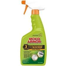 Pin On Mold And Mildew