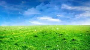 Natural Beautiful Background Easyworship Loop Beautiful Backgrounds Background Images Field Wallpaper
