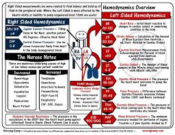 My Level 1 Sheet Covering Normal Hemodynamics Pulse P Icu