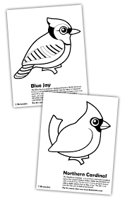 Blue jay in winter coloring page. Blue Jay And Cardinal Coloring Pages In Coloring Pages Free Coloring Home