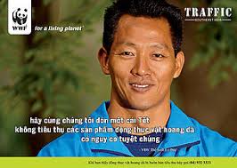 WWF and TRAFFIC launch celebrity PSA campaign for wildlife conservation
