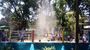 Banyak dari beberapa orang mengambil cuti kerja nya untuk berlibur bersama keluarga tercintah. Agrowisata Sondokoro Primadona Tempat Wisata Edukatif Di Karanganyar Halaman All Tribun Solo