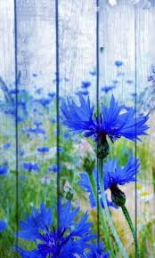 Kunst Fur Den Garten Malen Auf Dem Zaun With Images Garden Mural Fence Art Garden Art