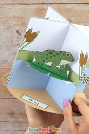 3d Frog Life Cycle Craft Video Video In 2020 Frog Life Cycle Craft Life Cycle Craft Life Cycles