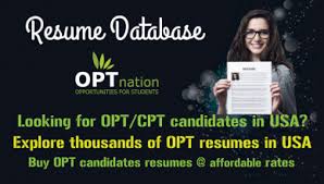 opt candidates resumes database in usa