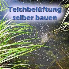 We did not find results for: Teichbeluftung Fur Sommer Und Winter Selber Bauen Bauanleitung Teichfilter