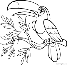 Color our free unicorn coloring page which is also a toucan coloring page. Toucan Coloring Pages Coloringall