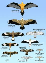 Epingle Sur For The Home