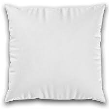 Buongiorno, lavoro impeccabile, mia moglie al 7° cielo. I Migliori 30 Imbottitura Cuscino 45x45 Per Te 2021 Ufficio Spettacoli It