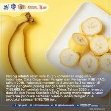 Secara psikologis pengalaman pengindraan karya seni terdiri dari: Lipi è²¼æ–‡ Facebook