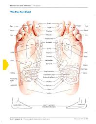 reflexology vita flex foot chart tawnyas essential oils