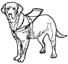 Guide Dog Coloring Pages By Daniel Dog Coloring Page Guide Dog Coloring Pages