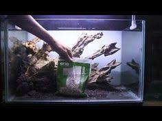 Bonsai kali ini untuk ukuran tank panjang :40cm tinggi :30cm lebar :25cm bahan yang digunakan.pohon senggani.batu pasir/sandstone.javamoss ba. 11 Bangbahri Aquascape Ideas Aquascape Nano Tank Freshwater Aquarium Plants