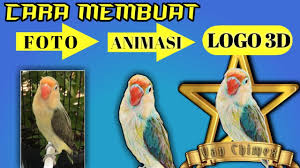 Dividio kali ini admin akan menjelaskan bagaimana cara membuat logo burung kacer dengan mudah dan cepat. Cara Membuat Logo Neon Murai Kacer Pleci Lovebird Pixellab Baground Eraser Youtube