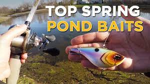 We did not find results for: The Best Pond Bass Fishing Lures To Fish In Spring Youtube