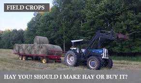Large square bale straw prices averaged $37.00 per bale (a wide range of $10.00 to $75.00). Hay You Should I Make My Hay Or Buy It Cornell Small Farms