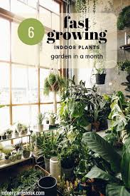 17 Fast Growing Indoor Plants Garden In A Month Indoor Garden Nook Garden Nook Plants Fast Growing Plants