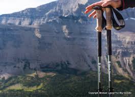 Grab up to 20% off on any order. Review Black Diamond Alpine Carbon Cork Trekking Poles The Big Outside