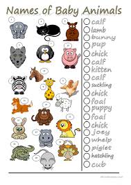 Names Of Baby Animals English Esl Worksheets For Distance Learning And Physical Classrooms
