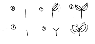 Then, inside of the oval, draw 2 parallel curved lines with a small circle at the end to make the stem. How To Draw Leaves 21 Best Tutorials For Beginners Craftsonfire