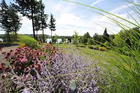 Последние твиты от seegarten (@seegarten). Seegarten Losheim Im Saarschleifenland