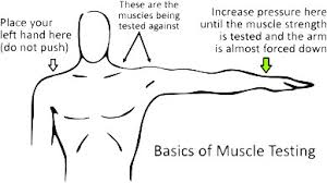 Muscle Testing Science Or Magic Center For The New Age