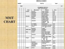 Myotome Testing Bismi Margarethaydon Com