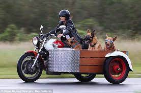 Faithful Companions Mary Mayhead Treats Her Dogs Hine Mari And Kiri To A Spin In The Sidecar Of He Motorcycle Sidecar Sidecar Motorcycle