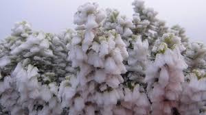 El clima en gramado te permitirá hacer paseos al aire libre, así que si quieres conocer toda la belleza de sus parques y valles, te aconsejamos que también empaques ropa liviana y un calzado cómo y. Neve No Sul Do Brasil Em 2019 Previsao Para Sc E Rs