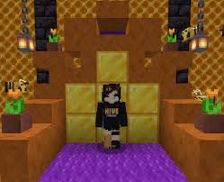 De beschrijving van 4d skin this app is for those who love the game and 4d a big fan of the minecraft. Getting The Hive Hoodie And How It Works Off Topic The Hive Forums