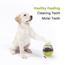 Generic Interactive Dog Toy Food Dispenser Ball Toy For Small Medium Large Dogs Durable Chew Ball Boredom Puzzle Interactive Dog Toys Dog Puzzle Toys Dog Toys