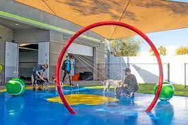 If you have a smaller dog, you don't want. Puppy Training In Scottsdale Az Paw Commons Pet Resort