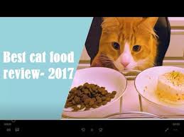 All top best products reviews give you best guide information and very deep research on product via best product for you and give the best advice on product by giving best review on our channel. Best 7 Cat Food Review 2017 Best Healthy Dry Food For Cat Best Pet Food Youtube