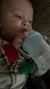 ZoLi BOT Weighted Straw Sippy Cup, 6 oz