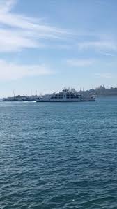 Siirlerdinleyelim On Instagram Gun Olur Alir Basimi Giderim Denizden Yeni Cikmis Aglarin Kokusunda Su Ada Senin Bu Ada Benim Yelkovan Kuslar Instagram Kus