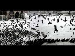 Can Atilla Muhur Gozlum Wmv Youtube Muzik Youtube Sanat