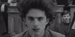 All 5 Wes Anderson Movies That Adrien Brody Starred In, Ranked