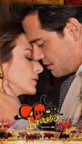 Amor Bravio Amor Novelas Atriz