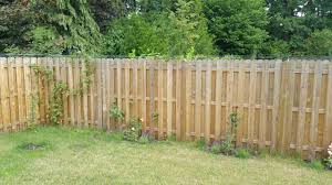 Https Www Katzen Forum Net Die Sicherheit 195806 Garten Katzensicher Machen 2 Html Garten Garten Ideen Katzengarten